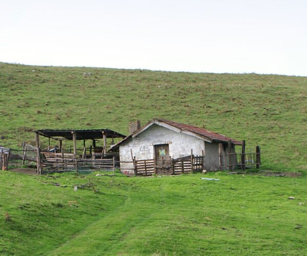 Capitanata Democratica 3, Legge 131/2025 sulla montagna: una riforma che colpisce il cuore delle aree interne